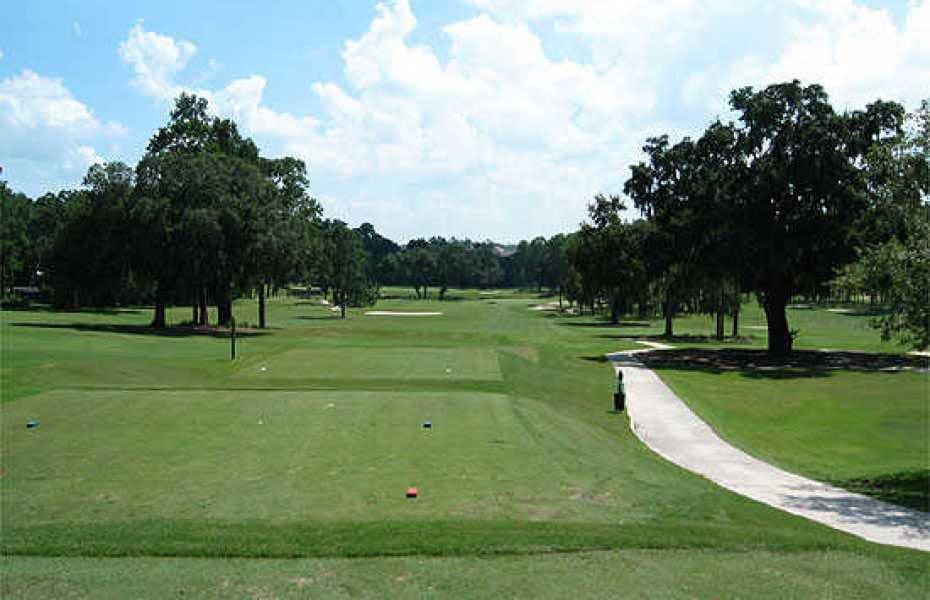 gainesville Scavenger Hunt Events